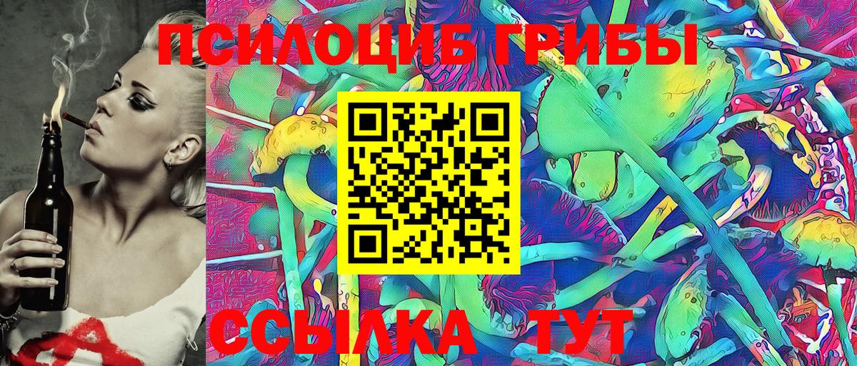 Псилоцибиновые грибы Psilocybe Киров