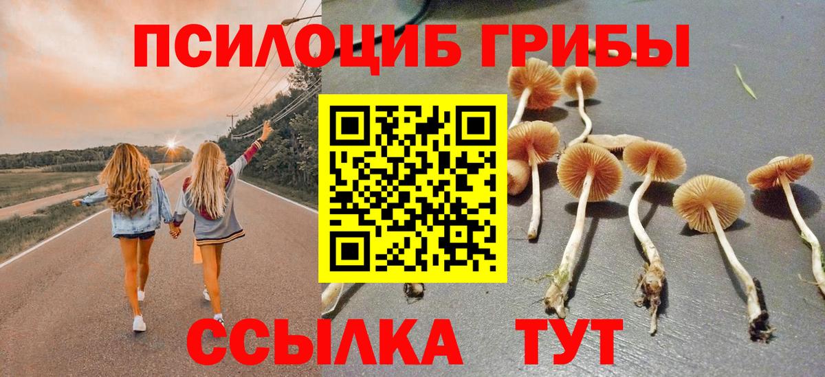 Киров  Псилоцибиновые грибы MAGIC MUSHROOMS  Галлюциногенные грибы мицелий  Вход с VPN 